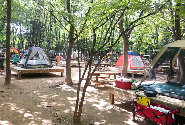 양재 시민의숲 캠핑장 전경