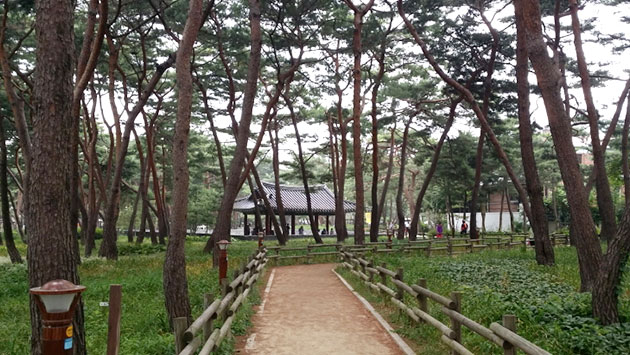 강북구 솔밭근린공원