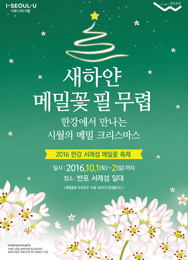 한강 서래섬 메밀꽃 축제 포스터