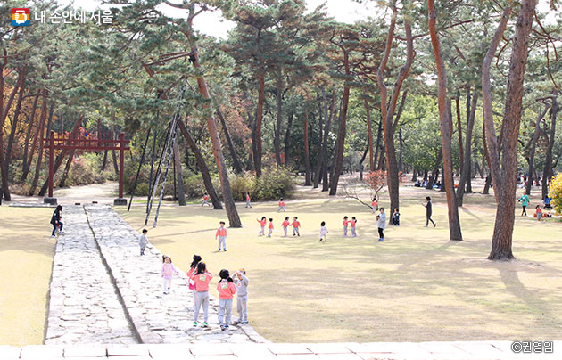 조선왕릉은 도심 속 역사적 공간이자 시민들의 편안한 휴식공간이다. ⓒ권영임