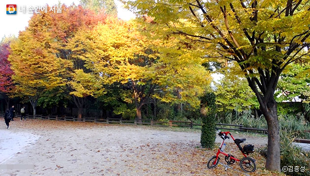 서울숲의 가을은 자전거를 타고 여유로운 시간을 갖기에도 그만이다. ⓒ김종성