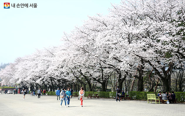 서울대공원의 봄