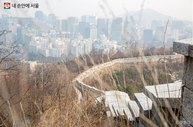 억새에 가려진 서울 도심 ⓒ문청야