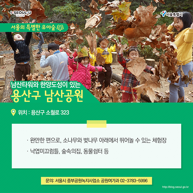 서울의 특별한 유아숲