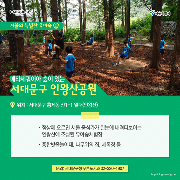 서울의 특별한 유아숲