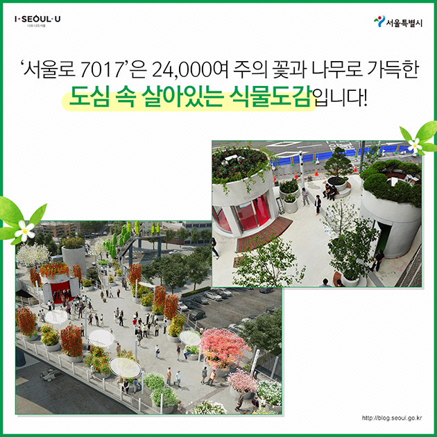 `서울로 7017`은 24,000여 주의 꽃과 나무로