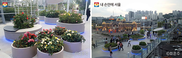 장미마당에 활짝 핀 장미(좌), 저녁이 되자 `서울로 7017`에 푸른 조명이 들어오기 시작한다(우) ⓒ최은주