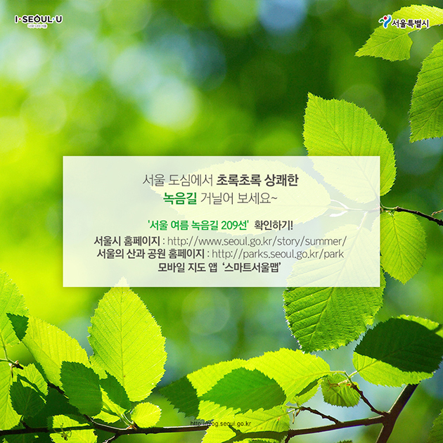 서울 도심에서 초록초록 상쾌한 녹음길 거닐어 보세요