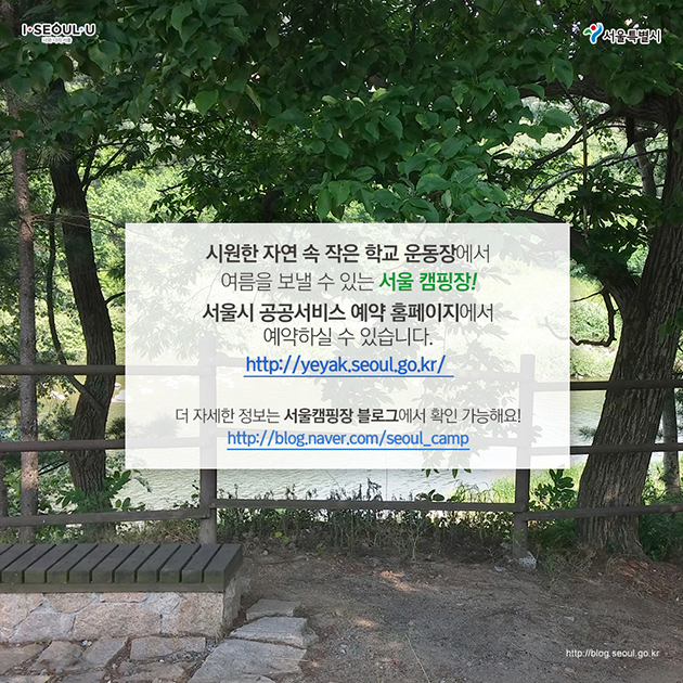 시원한 자연 속 작은 학교 운동장에서 여름을 보낼 수 있는 서울 캠핑장