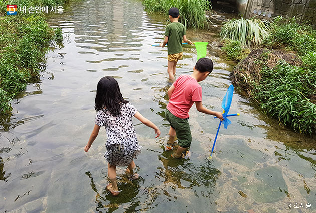 아이들이 성북천에서 물고기를 잡고 있다. ⓒ조시승