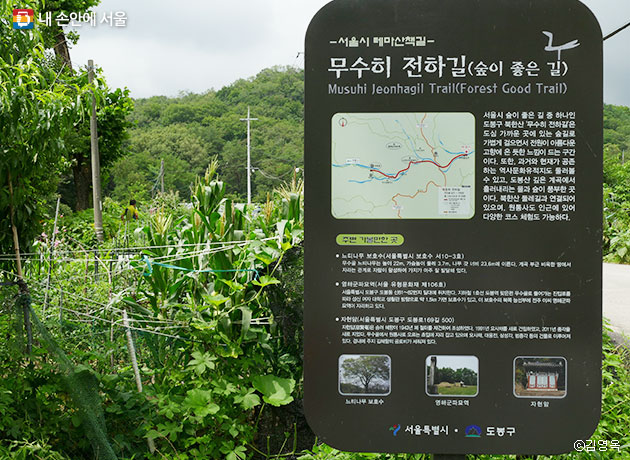 서울시 숲이 좋은 길 중 하나인 `무수히 전하길`ⓒ김영옥