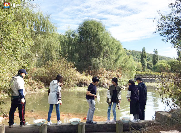 11월 한 달간 한강의 생태를 체험할 수 있는 무료 50가지 생태체험교실이 열린다