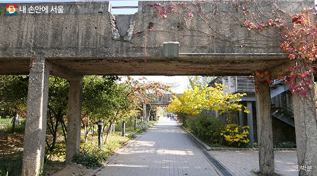 정수장 침전지를 비워낸 낡은 콘크리트 구조물을 아름다운 정원으로 가꾼 선유도공원 ⓒ박분