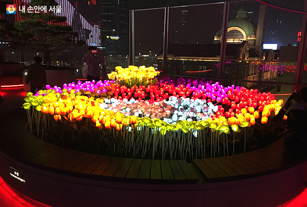 서울로 빛으로 피는 꽃밭