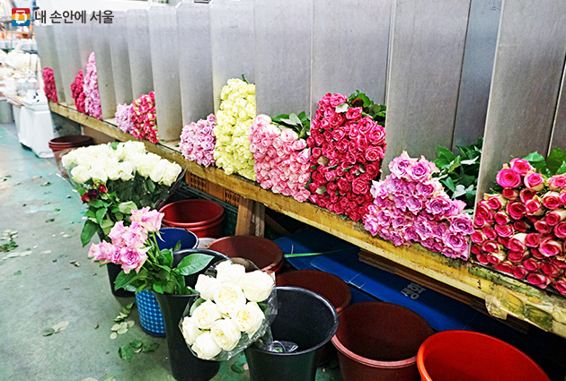 꽃향기로 가득한 고속버스터미널 꽃시장