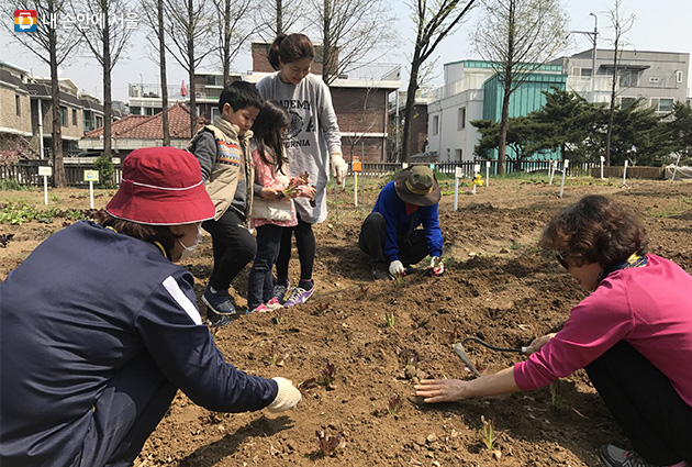 서울어린이대공원 텃밭프로그램에 참여할 130가족 모집