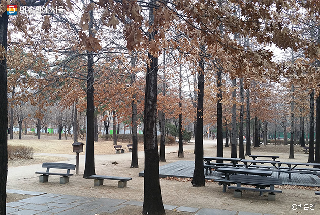 겨울 끝, 봄이 시작되는 서울숲. 곧 초록 잎들을 만나보길 기대한다.