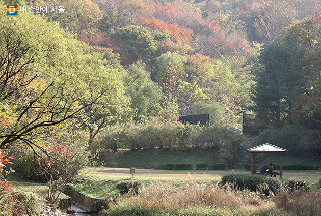 서울대공원 금붕어광장 내 연못