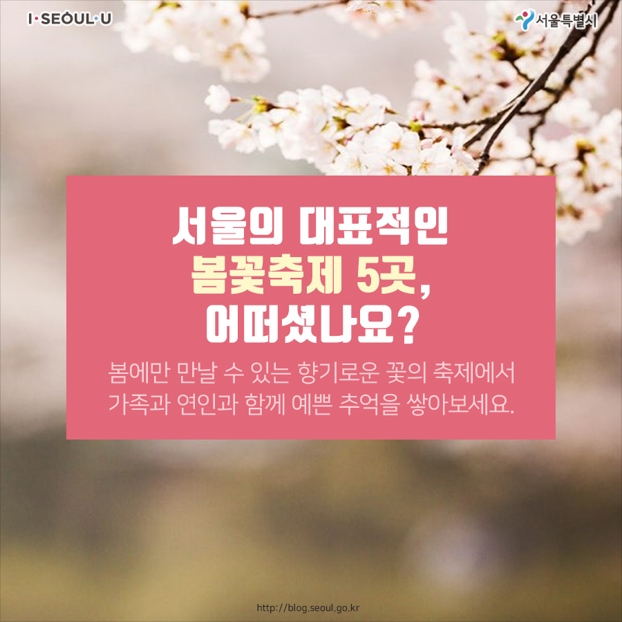 #8. 서울의 대표적인 봄꽃축제 5곳, 어떠셨나요? 봄에만 날날 수 있는 향기로운 꽃의 축제에서 가족과 연인과 함께 예쁜 추억을 쌓아보세요. Creative Commons