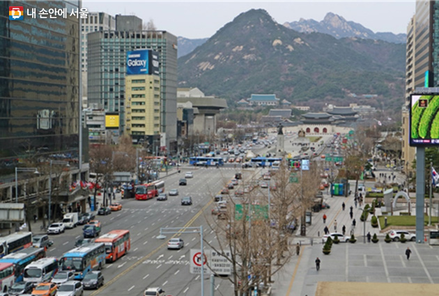 서울도서관 옥상에서 바라본 광화문 풍경. 경복궁과 청와대, 북악산 능선이 한눈에 들어옵니다