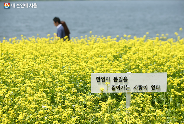 서울시(한강사업본부)는 4월 1일부터 5월 21일까지 51일간 한강공원 전역에 펼쳐지는 를 개최한다고 밝혔다.