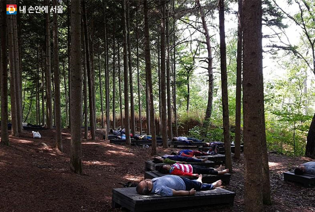 서울대공원 치유의 숲 체험에 참여한 시민들 