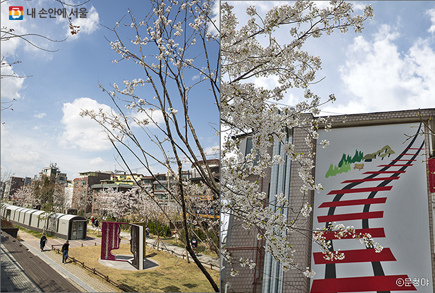 경의선책거리의 서점들과 조형물도 봄을 입다(좌), 벚꽃과 어우러진 철길 벽화(우)