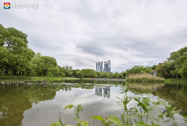 서울숲 커뮤니티센터 앞 연못을 배경으로 담은 사진