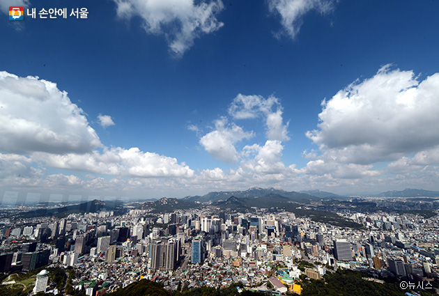 친환경 서울