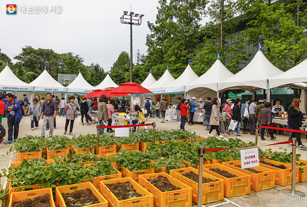 도시농업에 관심 있는 다양한 사람들이 도시농업박람회에 방문했다.