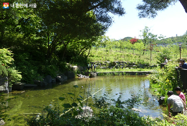낙성대공원에는 산책로와 연못이 조성돼있다