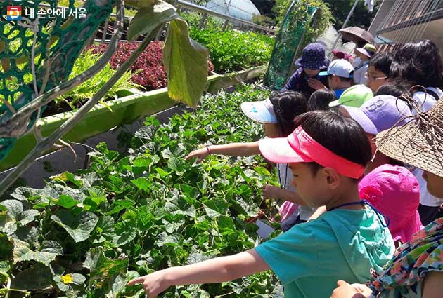 프로그램에 참여한 어린이들이 식물을 관찰하고 있다.
