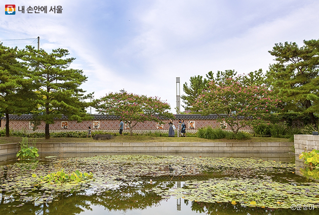 박물관 뒤쪽에 자리한 작은 연못 또한 사진 찍기 좋은 장소이다.