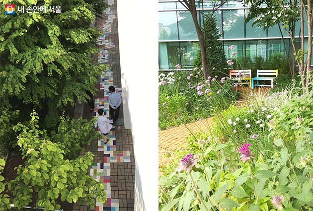 서울시 북부병원 ‘마음 풀 정원’