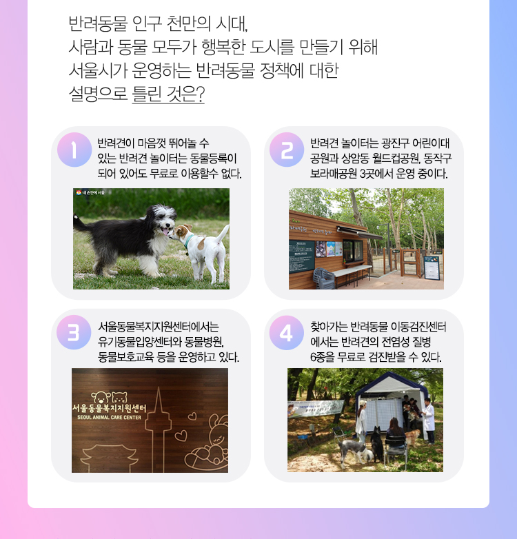 [내손안에퀴즈] 반려동물이 행복한 서울시 동물복지정책, 서울의 아름다운 밤 나들이 포스터