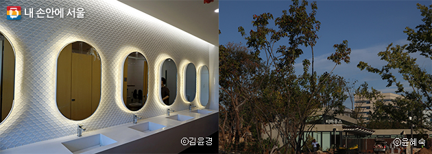 서울식물원은 화장실도 독특하다. 세포 모양으로 디자인했다(좌), 다양한 티문화를 즐길 수 있는 티하우스(우)
