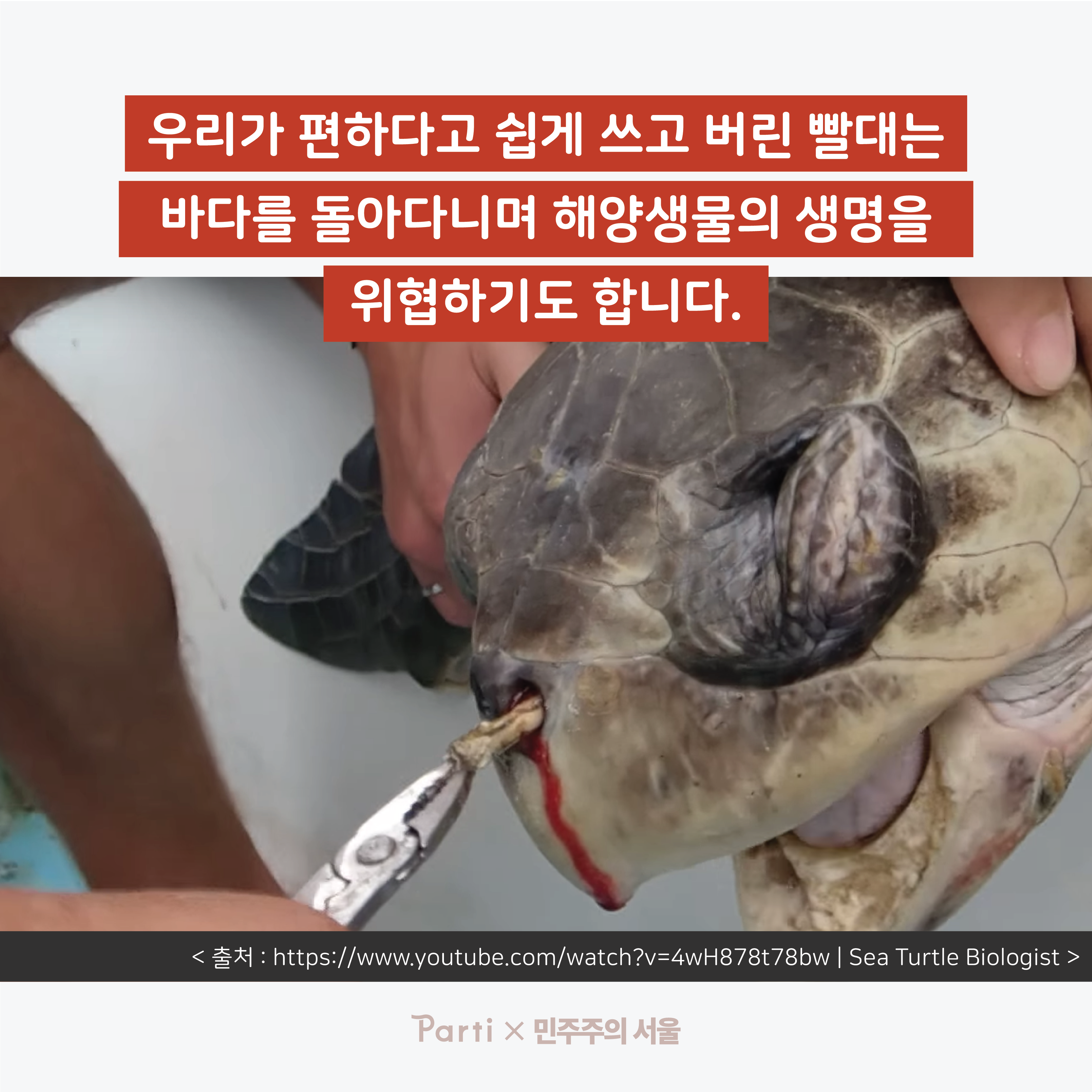 우리가 편하다고 쉽게 쓰고 버린 빨대는 바다를 돌아다니며 해양생물의 생명을 위협하기도 합니다. (출처 : http://www.youtube.com/watch?v=4wH878t78bw｜Sea Turtle Biologist