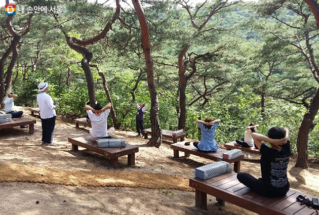 ‘남산 소나무 힐링숲’에서 휴식을 취하는 사람들