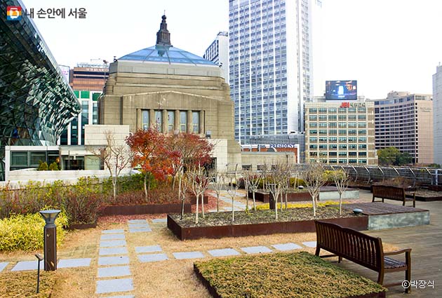 서울도서관 옥상 하늘뜰
