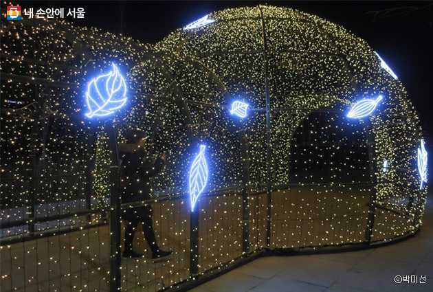 온실 바깥에서는 빛 축제 ‘서울식물원 원터가든’이 내년 2월까지 진행될 예정이다