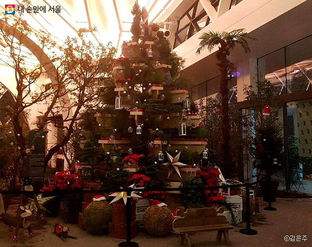 서울식물원 곳곳에서 크리스마스 트리 및 장식을 만날 수 있다