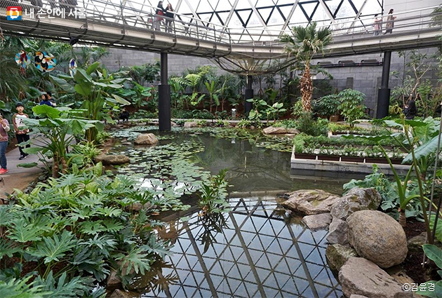 서울식물원 식물문화센터(온실)에선 12개국의 다양한 식물들을 만날 수 있다.