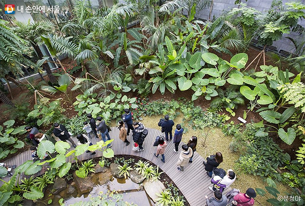 온실 스카이워크에서 아래로 내려다 본 모습, 많은 시민들이 서울식물원을 찾았다