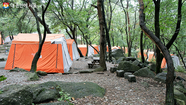 텐트 대여도 가능한 서울대공원 캠핑장