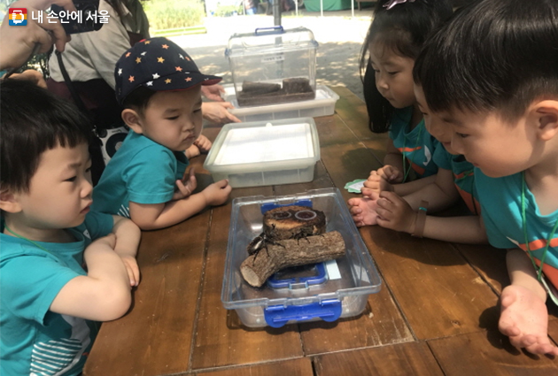곤충 관찰하는 어린이들