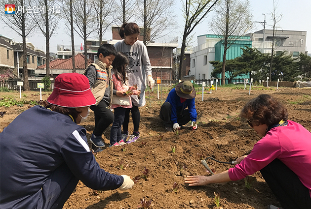 서울어린이대공원(광진구 능동)에서 어린이 텃밭 프로그램 참가 가족을 모집한다