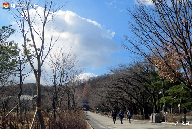 봄나들이 장소로 좋은 서울대공원, 산책을 즐기는 시민들