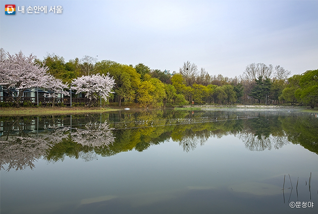 서울숲 연못