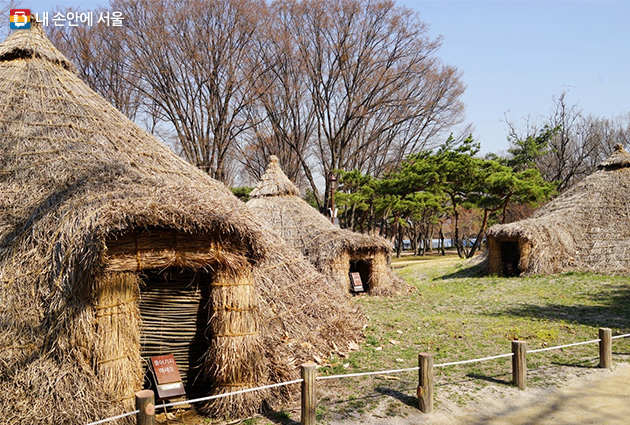 서울 암사동 유적의 복원 움집