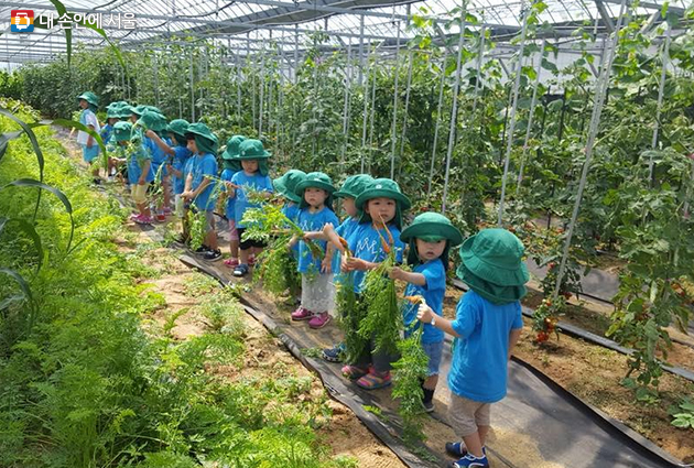 어린이들이 농산물 수확을 체험하고 있다